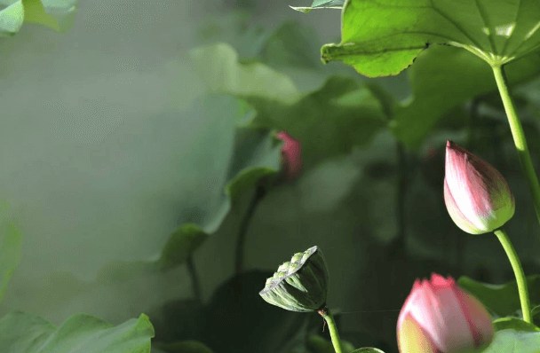 �ɷ�����Ⱦ����֣��Ƿ�Ҫ��������
