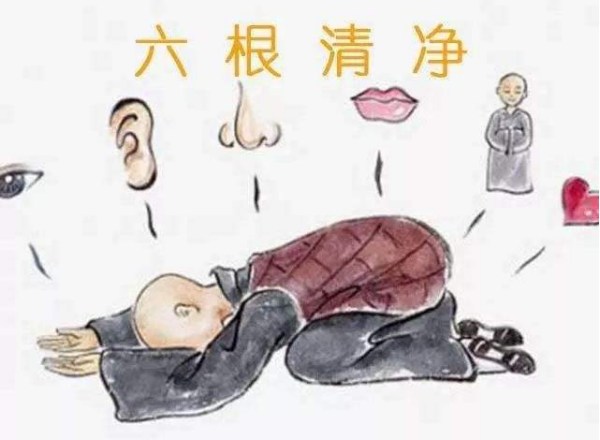 ��������������ֻصĸ�Դ