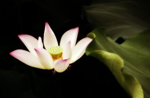 �뿪һ�л��������ʵ