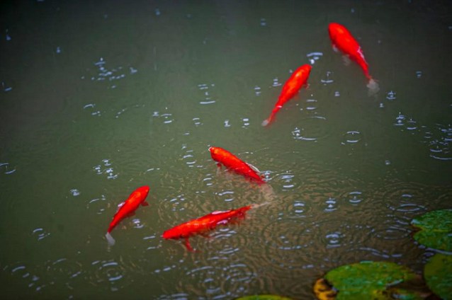 ���ҵ�ϵı�Ҫ�Ժ�������