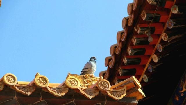 �ڼҾ�ʿ����Ϊ�����������