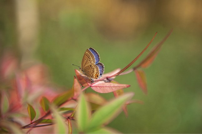 �峣֮�䣬����֮��