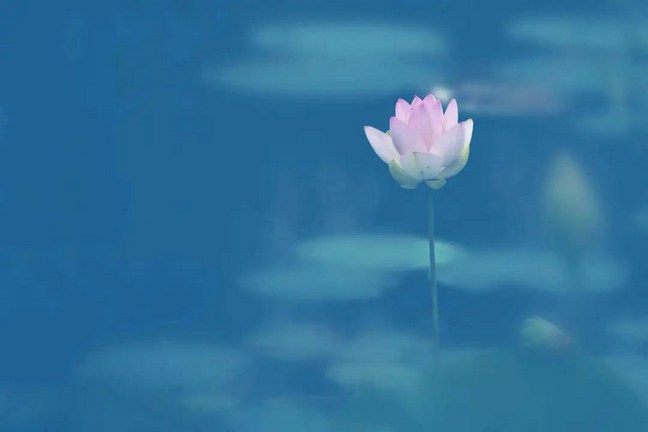 Ϊʲôҵ���ڵù���֮ǰ���л���