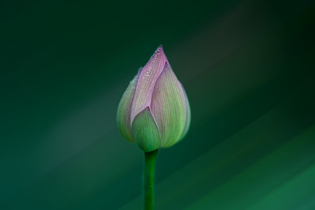 �������У�Ϊ������߶࣬��������