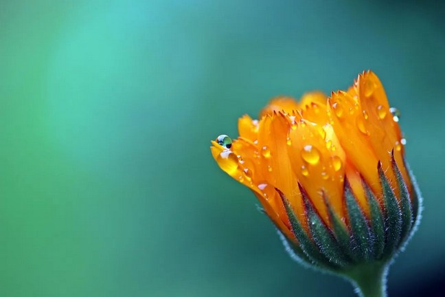 ����ʵ�ɵ������Ϻ���