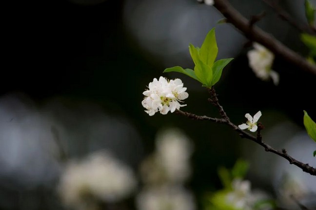 �׵��볾�����ӵ����ɾ�
