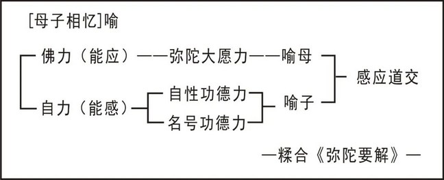 ���編ʦ���������������Բͨ��