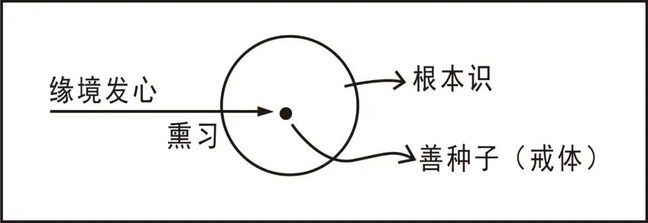 ���編ʦ�������ѧ��Ҫ