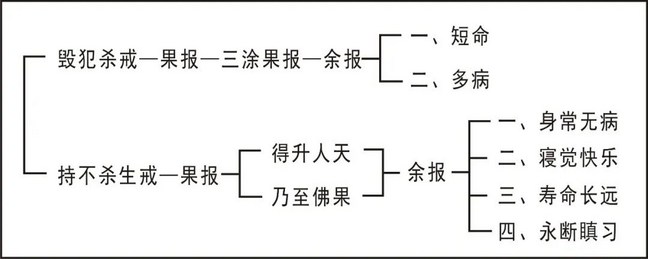 ���編ʦ�������ѧ��Ҫ