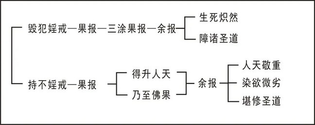 ���編ʦ�������ѧ��Ҫ