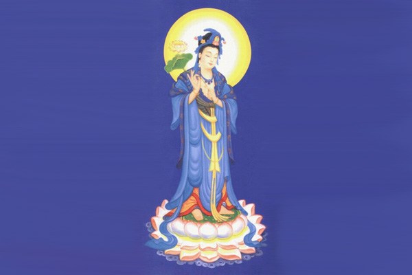 ���編ʦ���������������Բͨ��