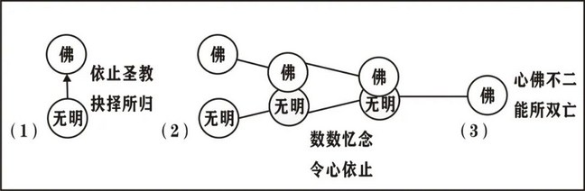 ���編ʦ��ӡ���ʦ�ĳ�ѡ��