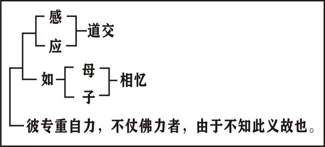 ���編ʦ��ӡ���ʦ�ĳ�ѡ��