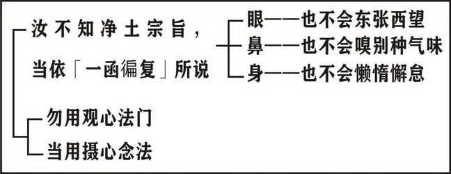 ���編ʦ��ӡ���ʦ�ĳ�ѡ��