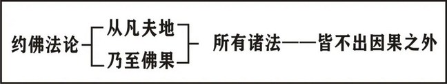 ���編ʦ��ӡ���ʦ�ĳ�ѡ��