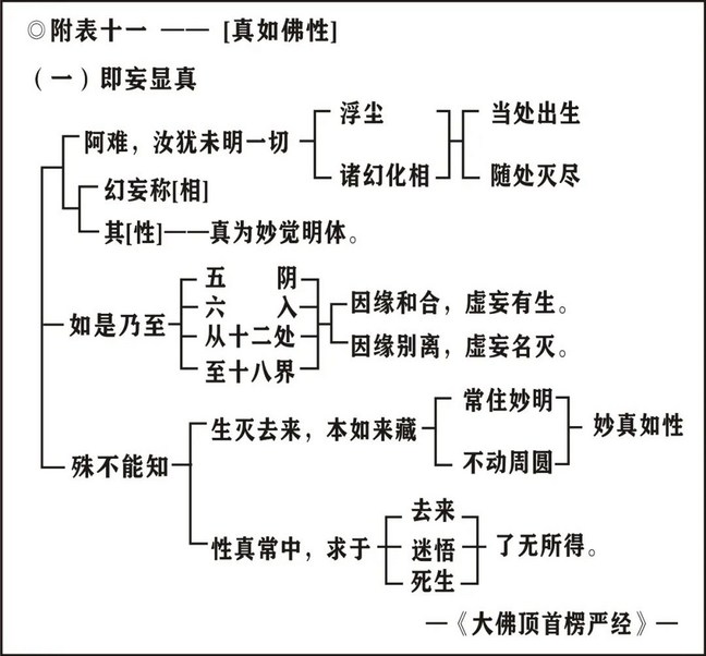 ���編ʦ��ӡ���ʦ�ĳ�ѡ��