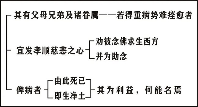���編ʦ��ӡ���ʦ�ĳ�ѡ��
