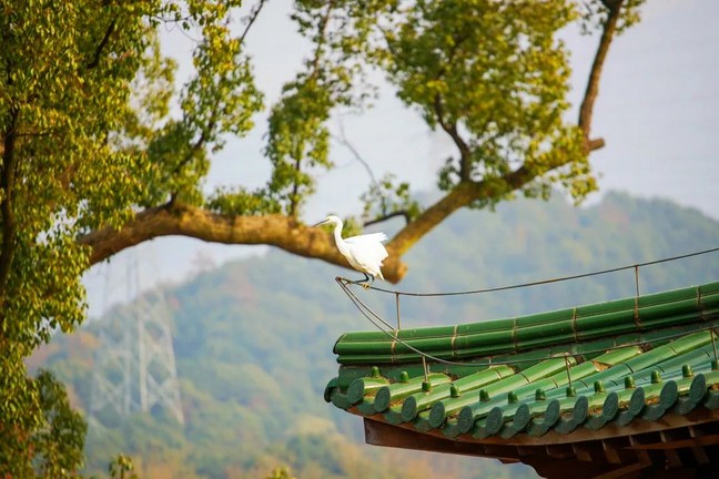 ������������������