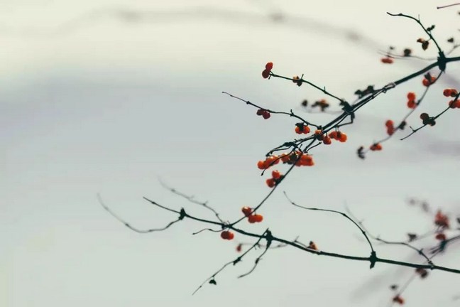�������������ŷ�����������µ�