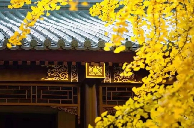 ��Ҫ��Ϊ��������ֽ��������ʱ���