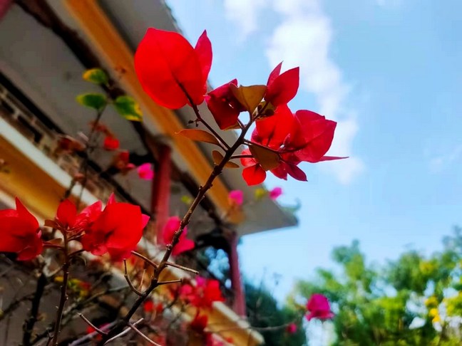 ��������˼�飬���Է����Ų���˼��