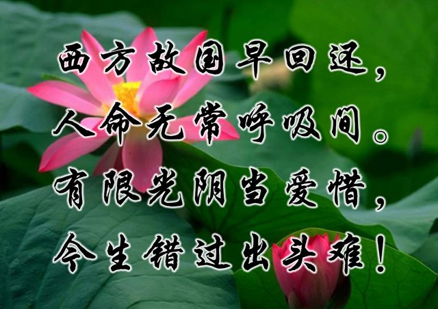 ʲô���Ŀ����֪�������а���