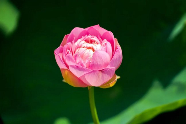 �Ȱ����Թ������ֳ�����������������