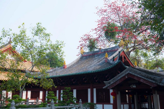 �鷿���������䣬�ǲ��ǶԷ��񼰾��鲻����