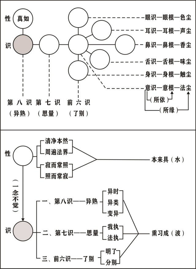 ���編ʦ��Ψʶѧ��Ҫ