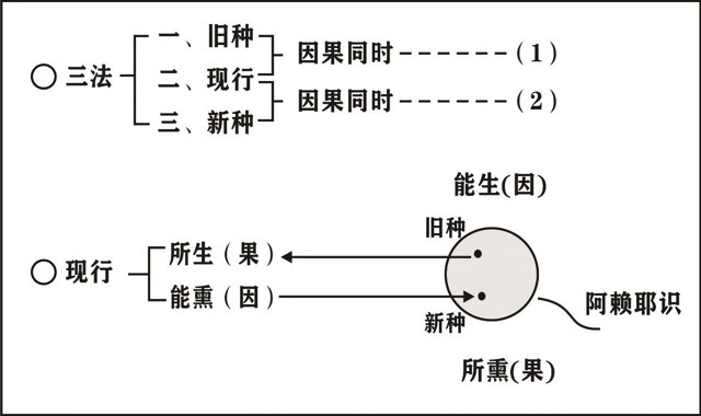 ���編ʦ��Ψʶѧ��Ҫ