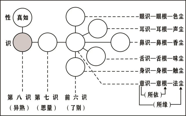 ���編ʦ��Ψʶѧ��Ҫ