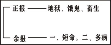 ���編ʦ����������ѧ��Ҫ