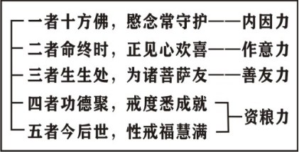 ���編ʦ����������ѧ��Ҫ