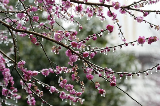 �޳ո�а����ʲô���