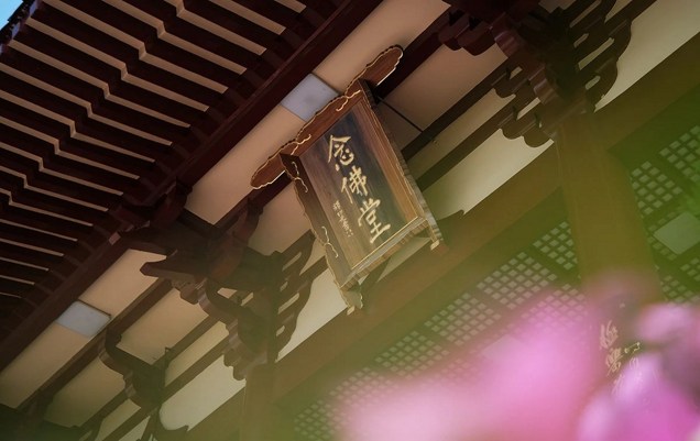 ��ֲ���µ�ʮ�ַ���