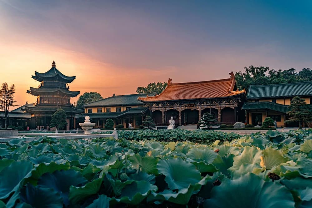 �볾���壬����ĸ�˭������