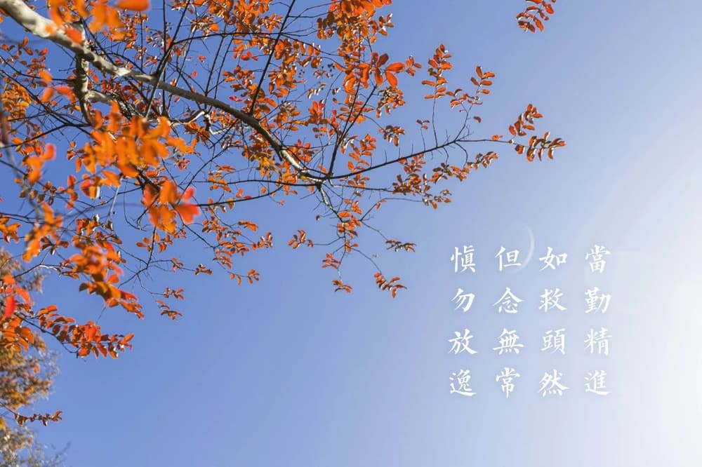 ������ʲô������˵���Լ�������ŵ�