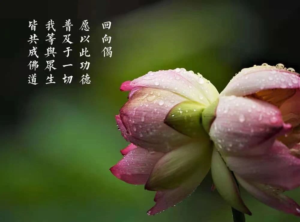 �����һ��Ҫ�ѷ�ŵ�ζ�������